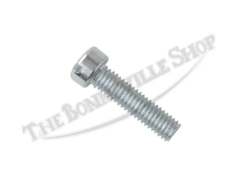 Triumph Norton Bsa Amal Handlebar Lever Screw(S) Pn# 11/013 99-0225 2 11 013 01 Triumph Norton Bsa Amal Handlebar Lever Screw
