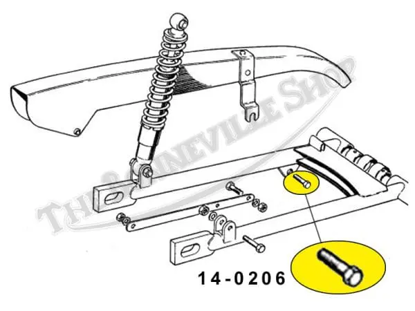TRIUMPH CHAINGUARD BOLT