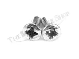 Triumph T140 Tr7 T150 T160 Disc Brake Caliper Cover Screws (2) Pn# 21-2196 3 T Caliper Cover Screws