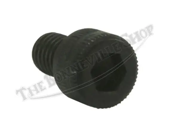 Triumph Wheel Bearing Locking Ring Screw