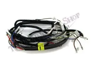 Genuine Lucas Main Wiring Harness Bsa A50 A65 Twins 1968 Pn# 54953385 G 19-947 G 6 Bsa A Harness