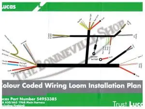 Genuine Lucas Main Wiring Harness Bsa A50 A65 Twins 1968 Pn# 54953385 G 19-947 G 5 Bsa A Harness