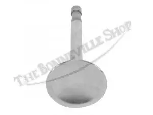 70 4012 02 Triumph 500 T100 Kibblewhite Black Diamond Inlet Valve 1 1961 67 Standard