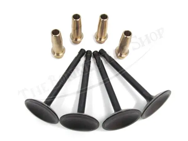 TRIUMPH VALVE AND GUIDE SET