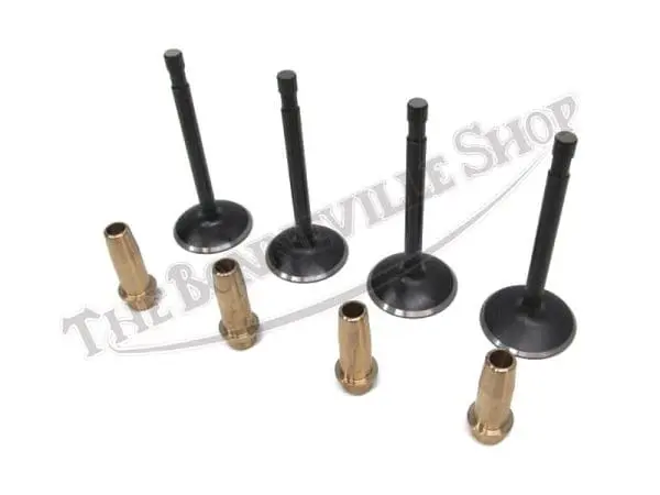 TRIUMPH VALVE AND GUIDE SET