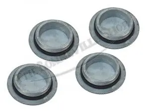 70 4610 02 Triumph Valve Inspection Cap Kit