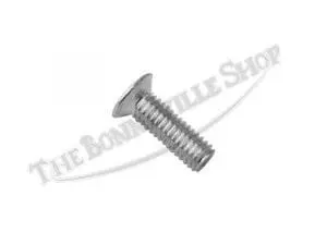 82 4129 L 02 Triumph Primary Cover Screw 1