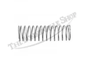 Triumph Twin Seat Plunger Spring(S) Pn# 82-4228 3 82 4228 02 Triumph Twin Seat Plunger Spring