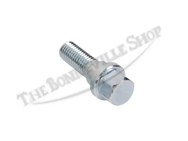 Triumph Fork Drain Plug