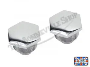 97 4258C 02 Triumph Chrome Fork Top Nuts Pair