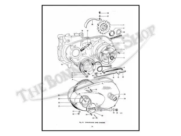 Triumph T Cc Daytona Tiger Trophy Parts Book