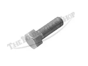 Chrome 5/16 Headlamp Bolt Cei 99-1004