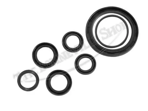 Triumph Bonneville Tiger T Tv Tr Trrv Oil Seal Kit Set