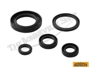 Bsa A50 A65 Lightning, Thunderbolt, Royal Star, Hornet, Wasp, Spitfire, Complete Oil Seal Kit Fits 1962-72 Pn# 99-9958 Cda65L 3 Cdal Bsa A A Lightning Complete Oil Seal Kit Fits