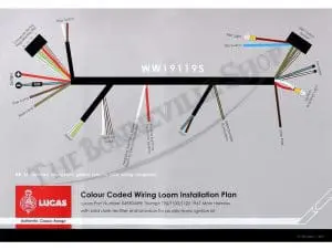 Tbs S Triumph Lucas Ei Wiring Harness