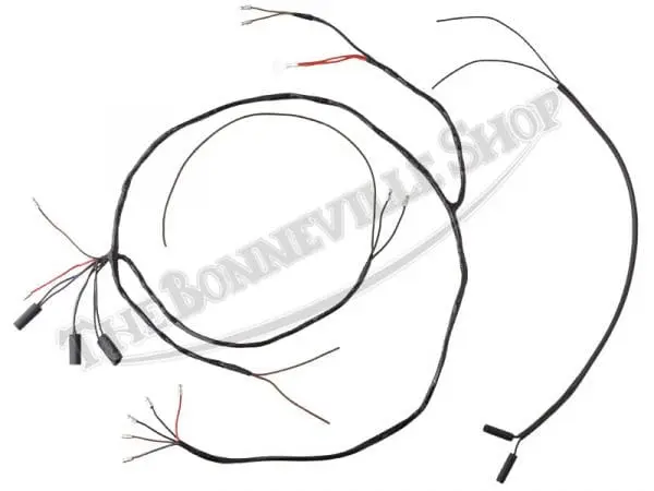 Tbs 6027 Pvc 54937097 01 Triumph T120Tt T120C Pvc Wrapped Wiring Harness Uk Made