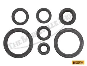 Triumph Bsa 250 441 500 Hepolite Single Oil Seal Kit Pn# Tbs-61-355 3 Hepolite Single Oil Seal Kit Pn# Tbs-61-355