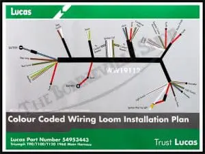 Triumph 500 650 T120 Tr6 T100 T100C Genuine Lucas Wiring Harness 1968 Pn# 54953443 G 4 54953443 G 01 Triumph 500 650 T120 Tr6 T100 T100C Genuine Lucas Wiring Harness 1968