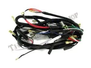 Lucas Norton Harness