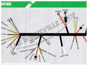 Lucas Norton Harness