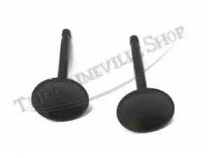 Bsa A65 650 Kibblewhite Black Diamond Inlet Valves (2) 1966-72 Pn# 68-0665 3 Inlet Valves 1966-72 68-0665