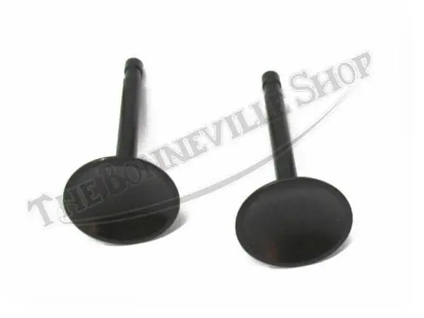 INLET VALVES 1966-72 68-0665