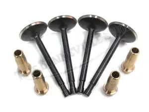 Valve and Mn-Bronze Guide Set PN# 70-2904 70-4603 70-2899