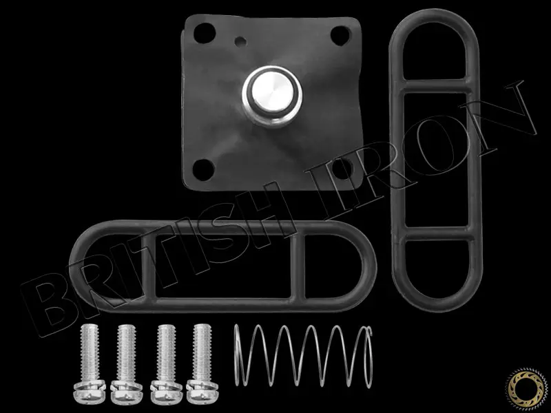 18 2842 02 Fuel Petcock Repair Kit