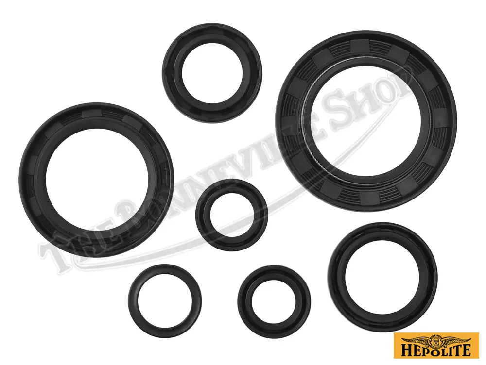 Triumph T120 Tr6 650 4-Speed Hepolite Engine And Gearbox Oil Seal Kit 1963-71 Pn# Tbs-61-361 2 Triumph T120 Tr6 650 4-Speed Hepolite Engine And Gearbox Oil Seal Kit 1963-71 Pn# Tbs-61-361