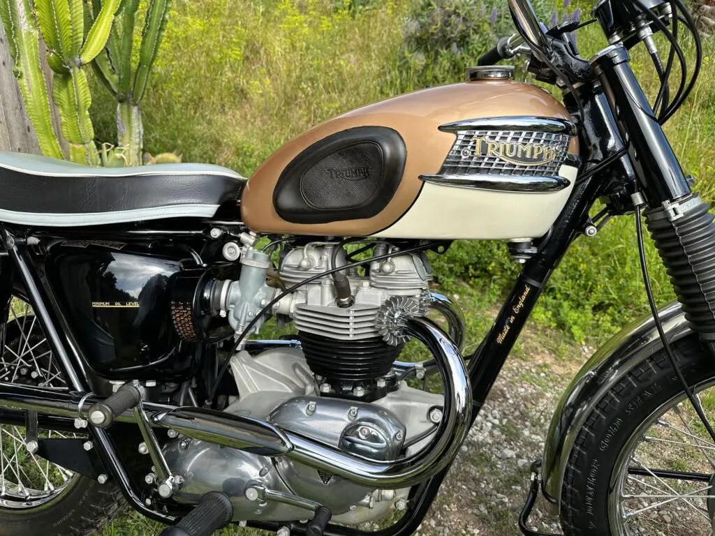 1964 Triumph T120 Tt Special 5 4